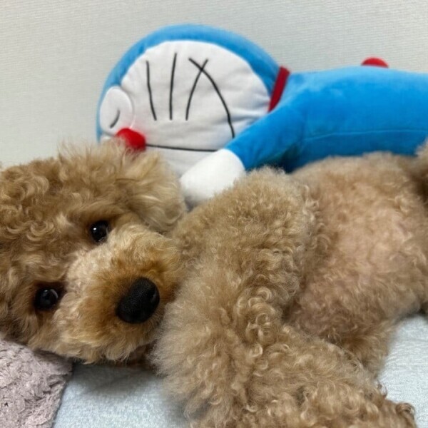 お疲れ様✨
