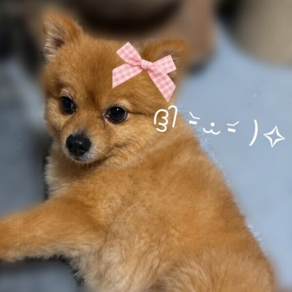 明日も1日頑張ろ〜✊🏻