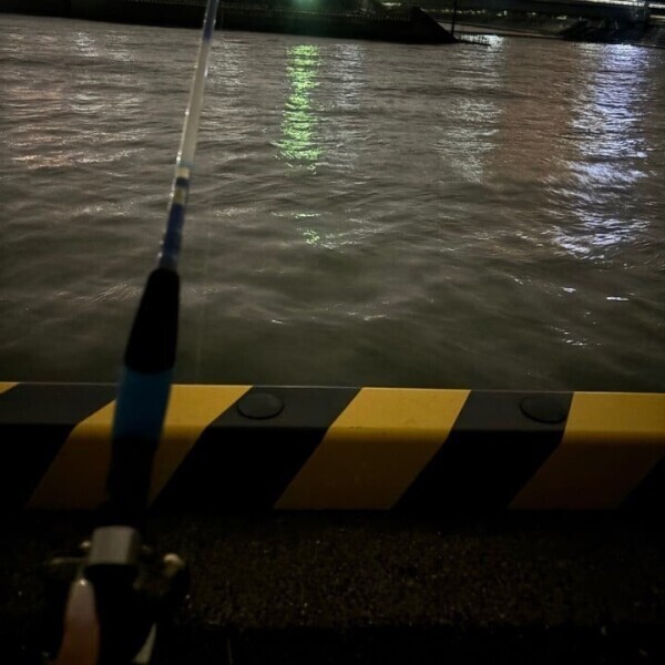 なう！！！！