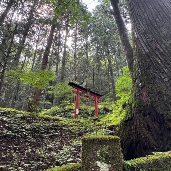 パワースポットは良いこともあるけど、意外とネガティブな面もあるのは皆様知っていますか？