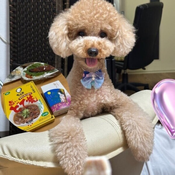 大好きワン🐶