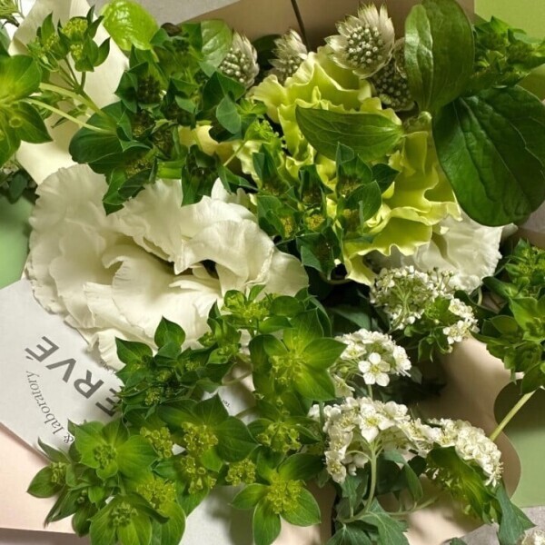 吉原店出勤についてのお知らせ