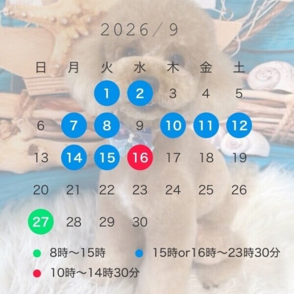 9月のスケジュール🗓️