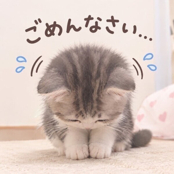 おやすみです🥲