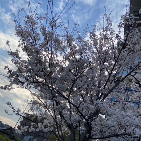 次回4日です❣️