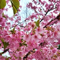 みおん
