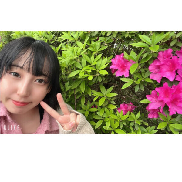 可愛いお花🌺