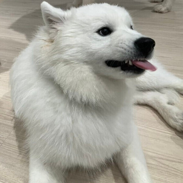 癒し～(´͈ ᵕ `͈ )♡
