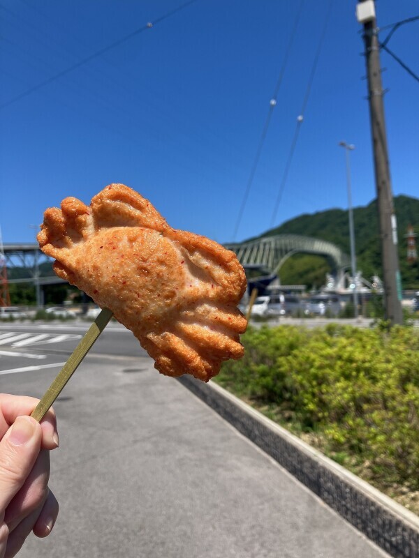 先の漁港にも行ってきました！