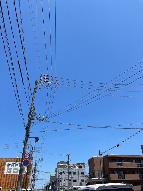 6月、初めての。