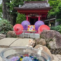 みおん