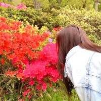れいな