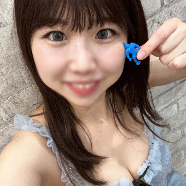 大人のオモチャ