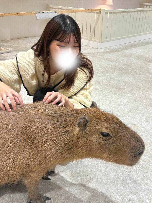 はじめまして🐰