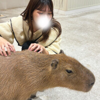 あるの