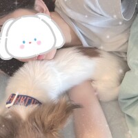 さえか