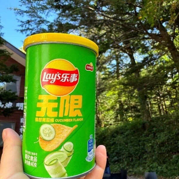 後半の予定と…これなーんだ