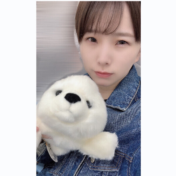 おう、ごまちゃん🦭