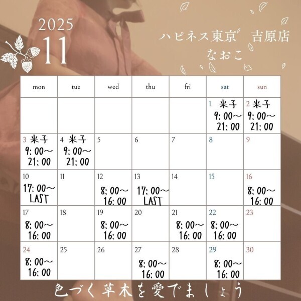 11月の予定と12月頭について