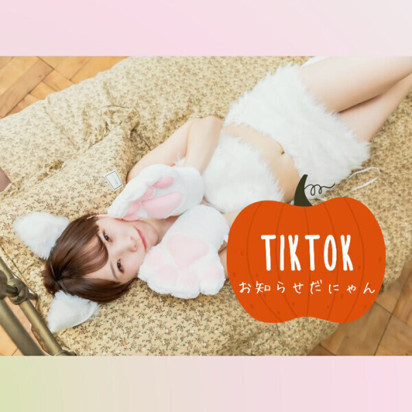 🦭次回のTikTokライブ配信🦭