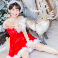 がんばるどん🦭