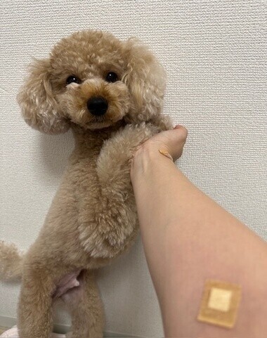 11/21（金）追加出勤✨