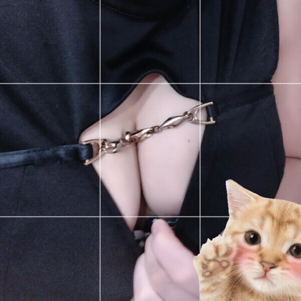 証明されたいっ✨