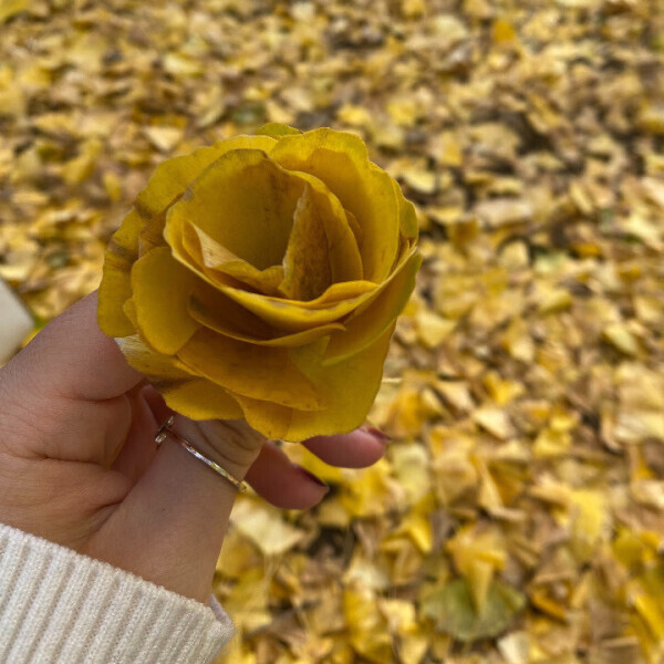 駆け抜けて性春