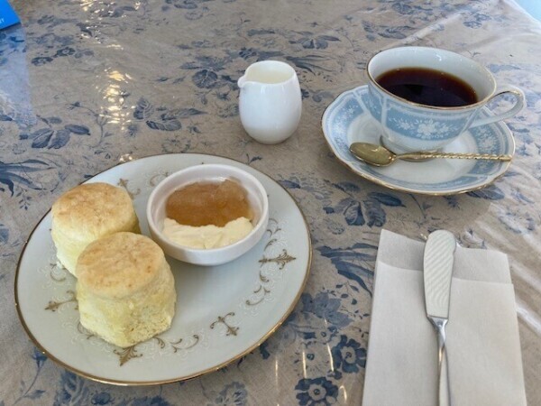 12月後半の予定☆