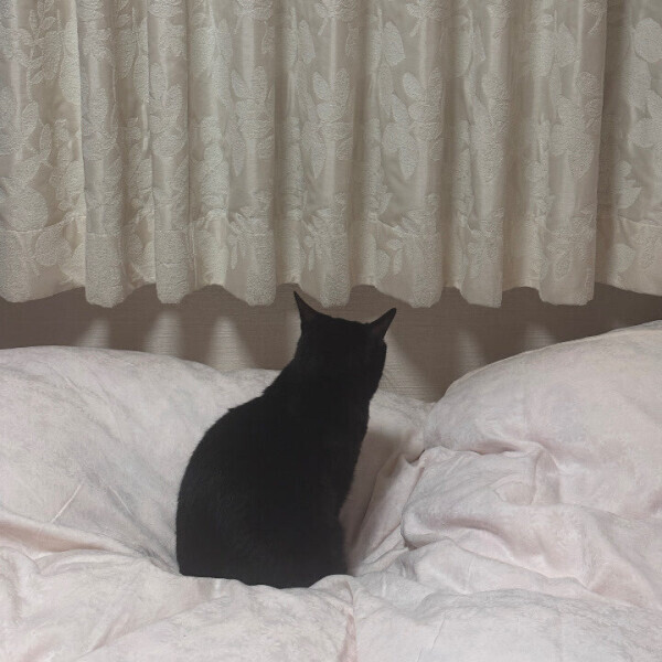 あと8️⃣日🤍