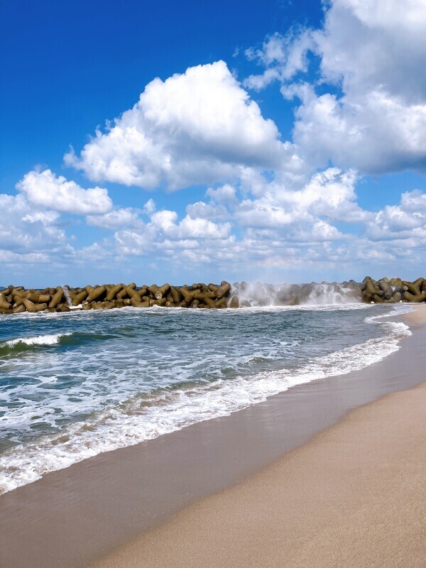 お休みさせていただきます。