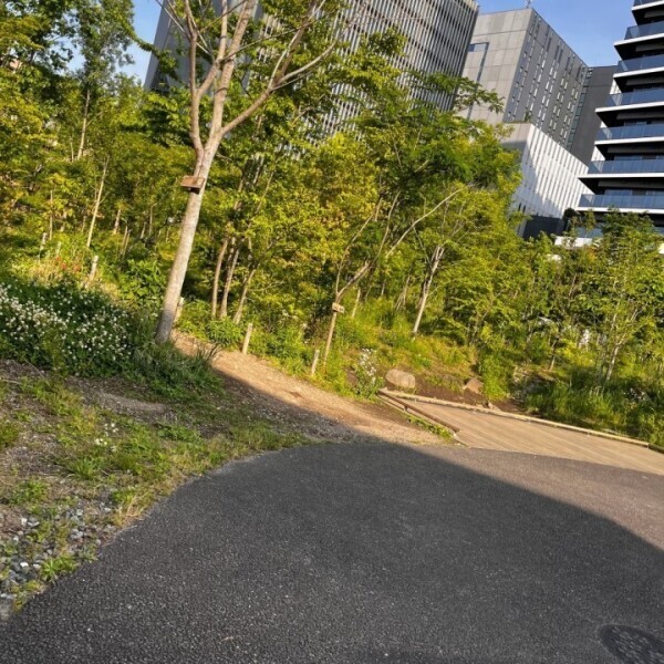 ♡𝐺𝑜𝑜𝑑 𝑚𝑜𝑟𝑛𝑖𝑛𝑔♡