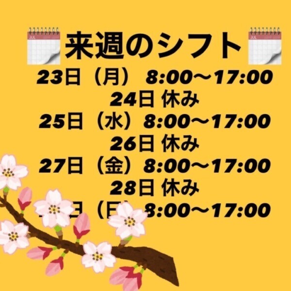 来週の予定🆙！