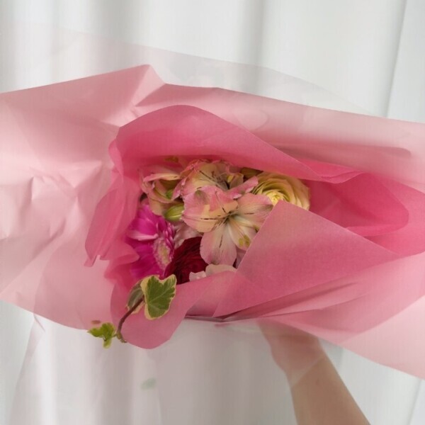 ( *´꒳`* )ｳﾚｼｲ