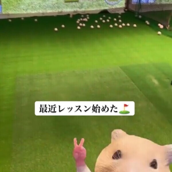 ゴルフしてるー？