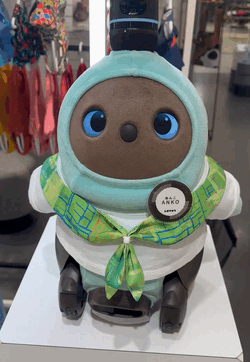 あんこちゃん🤎