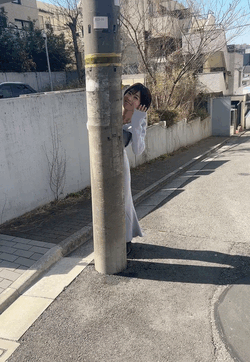 🍁ひょっこりはん🍁