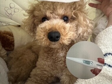 本日お休みさせていただきます🙏