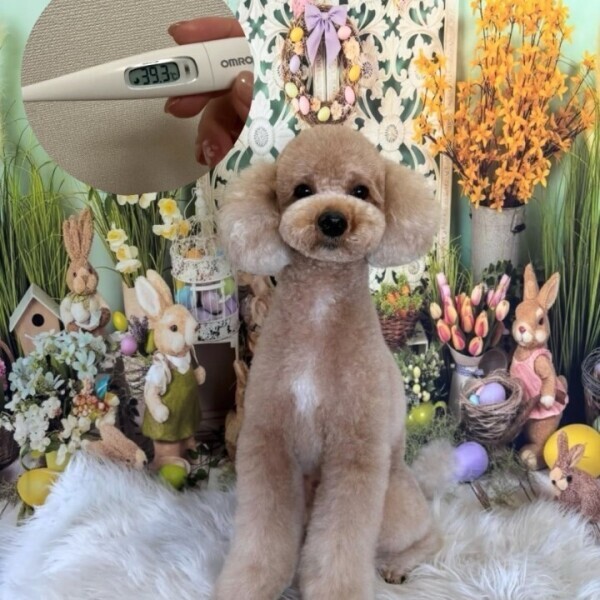 本日もお休みさせていただきます🙏