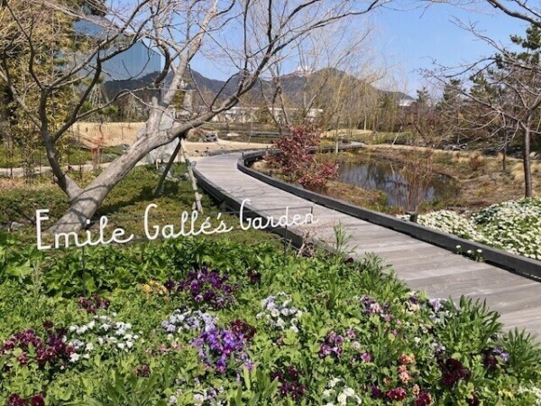 4月後半の予定☆