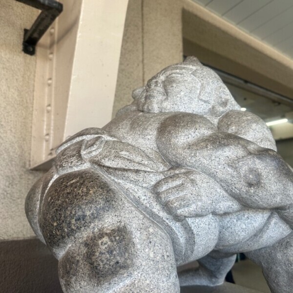 お相撲さんっ！