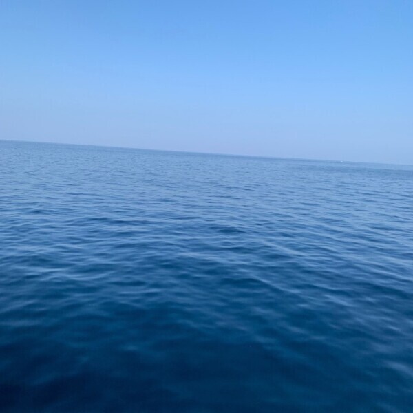 自然ってすごい👏