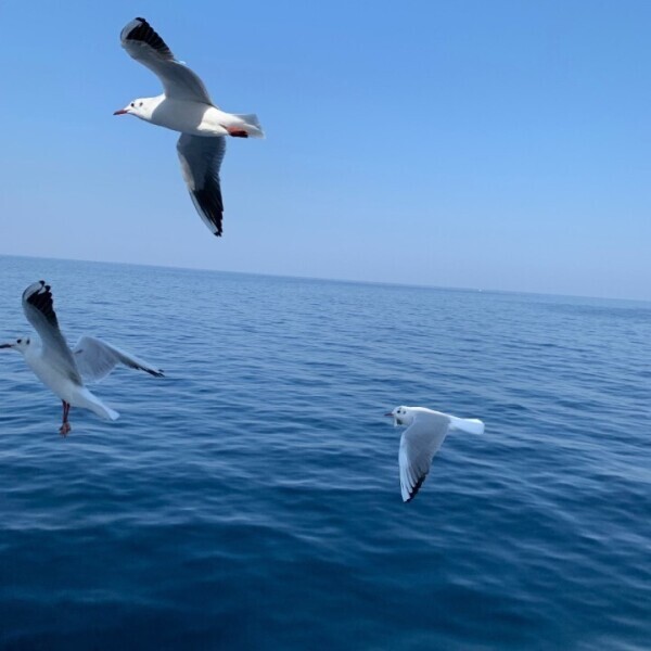 女の子も1人の【人間】なんです