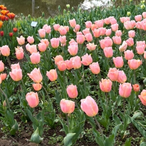 おやすみ、、、😭😭