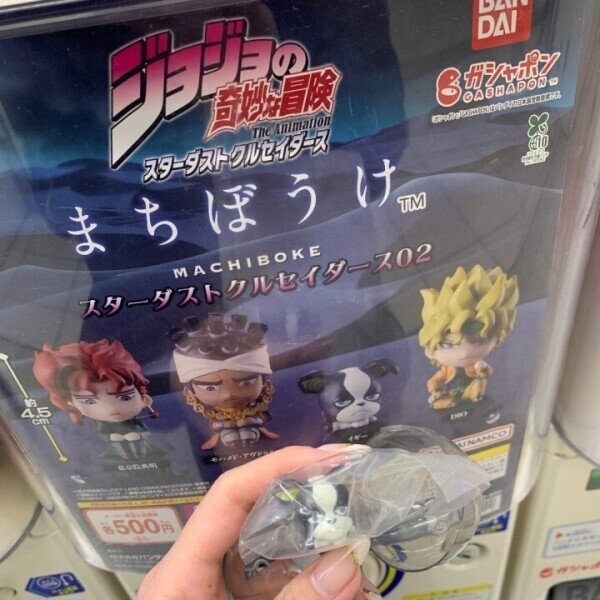 愚者(ザ・フール)☕️