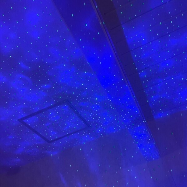 今日もいます♡