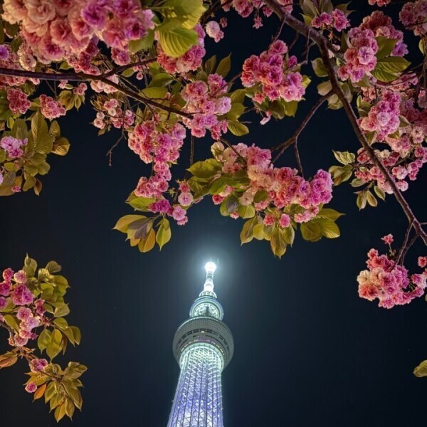 こんにちは、ゆいねです🐣