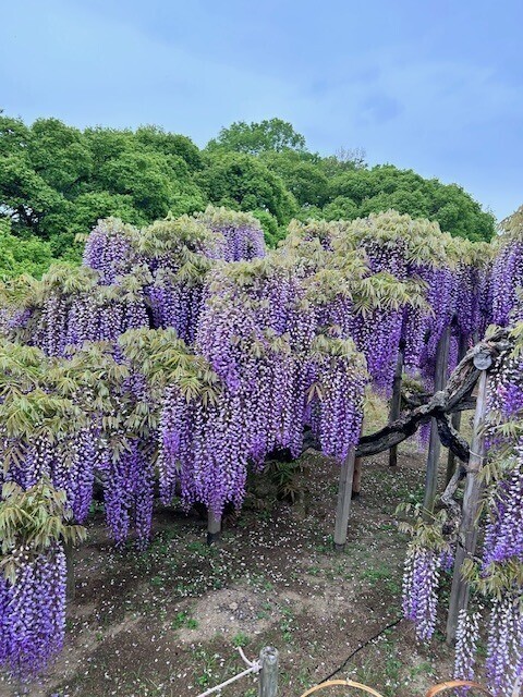 行ってきたよ🎶
