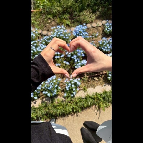 ネモフィラ💙𓈒𓏸