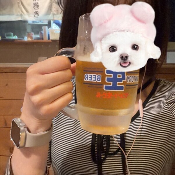 ひとり旅🍺✨️